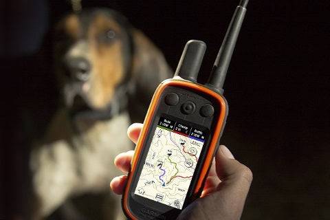 Tracker collier GPS GARMIN
